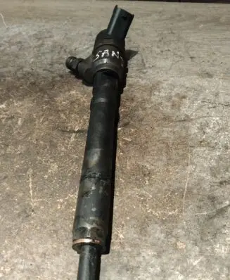 Hyundai Santa Fe Fuel injector 0445110064 33800270