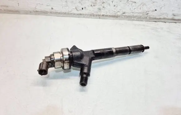 Opel Zafira B Fuel injector 8973762703