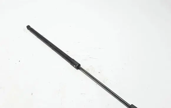 Tailgate strut