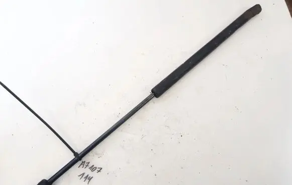 Tailgate/trunk strut/damper