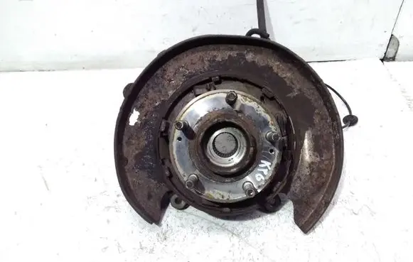 Hyundai Santa Fe Rear wheel hub spindle/knuckle 