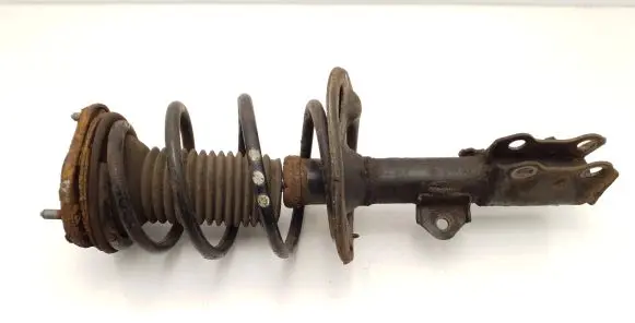 Toyota Verso Front shock absorber with coil spring
