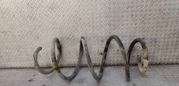 Volkswagen Jetta V Front coil spring