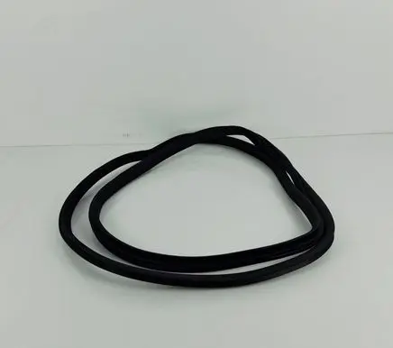 BMW X5 E70 Rubber seal rear door 4879468