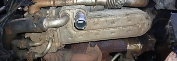 Seat Toledo III (5P) EGR valve cooler 038131513AD