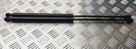 Peugeot 206 Tailgate/trunk strut/damper 9631441380