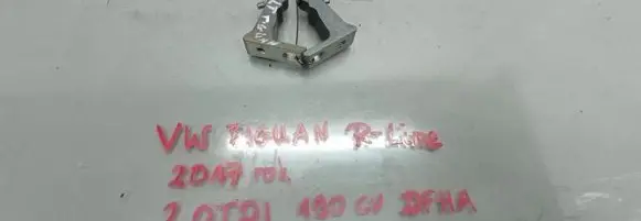 Volkswagen Tiguan Rear door hinge set 