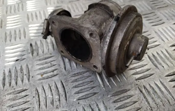 BMW 5 E39 EGR valve