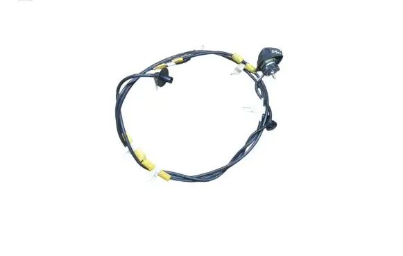Citroen Berlingo Radio antenna 4102100111 41150836B