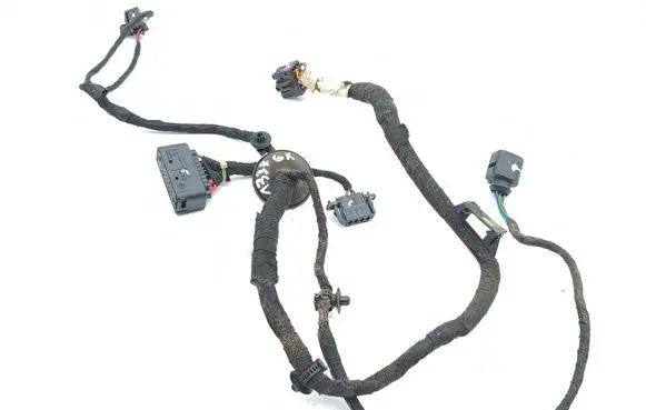 Volkswagen Bora Rear door wiring loom 