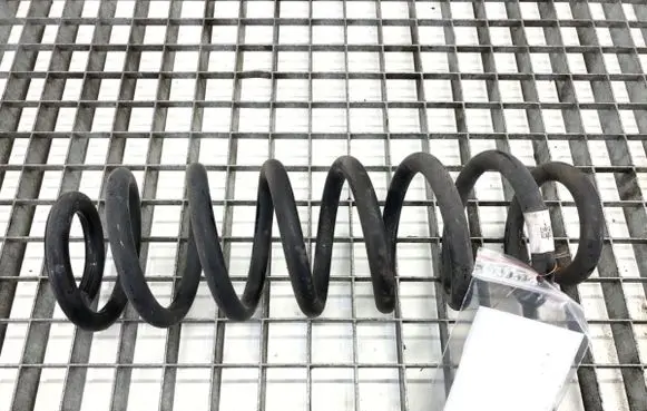 Rear coil spring
