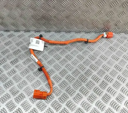 Lexus RX 450H Other wiring loom 821H248050