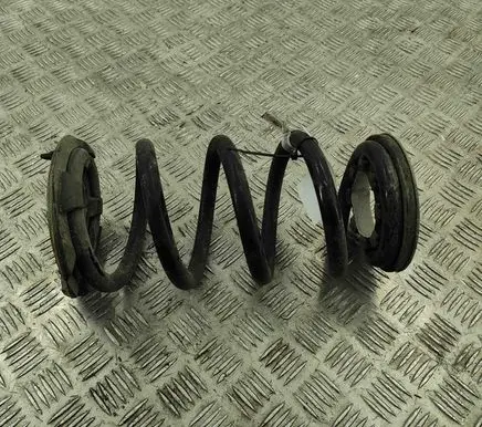 Tesla Model Y Rear coil spring 118847400B