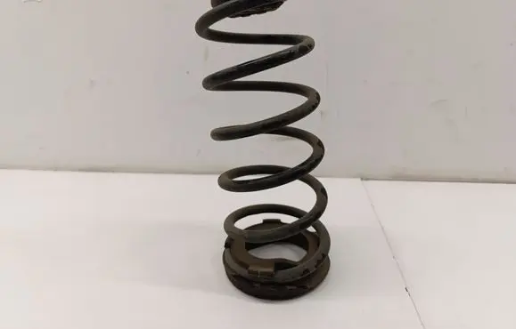 Rear coil spring