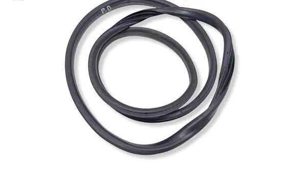 Renault Megane III Front door rubber seal 