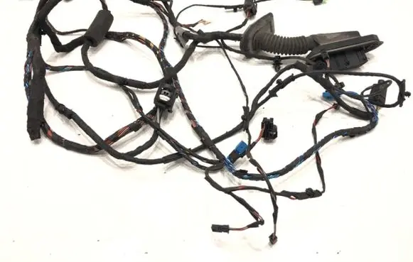 Front door wiring loom