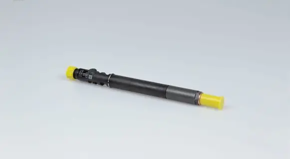 Citroen C3 Fuel injector EJBR01001A