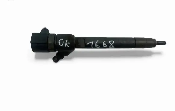 Hyundai ix35 Fuel injector 338002F300