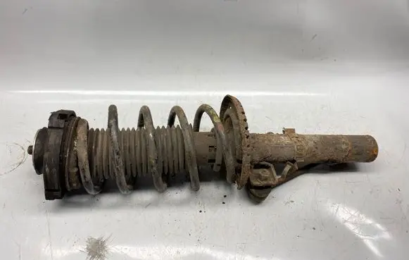 Skoda Roomster (5J) Front shock absorber with coil spring