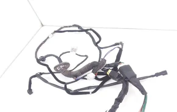 Hyundai Trajet Front door wiring loom 916003A102