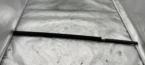 Mitsubishi Carisma Rear door glass trim molding