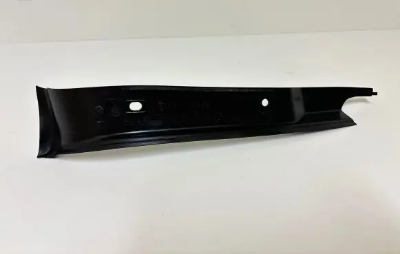 Rear/tail light trim molding