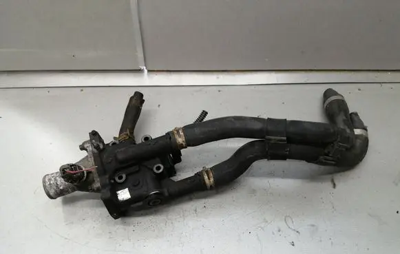Thermostat/thermostat housing