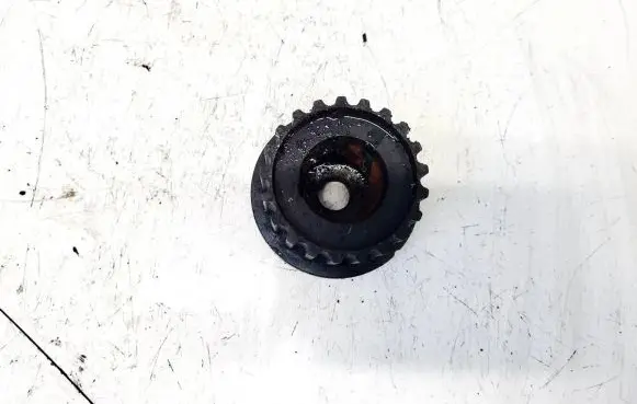 Hyundai Santa Fe Camshaft pulley/ VANOS 