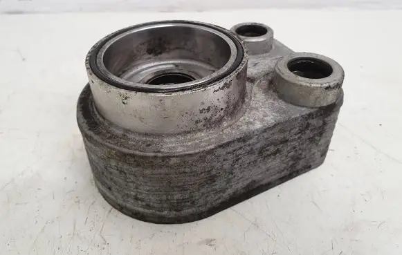 Renault Kangoo II Oil filter mounting bracket 213059324R