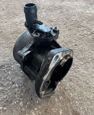 Renault Laguna II Vacuum pump
