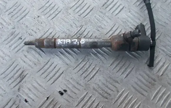 Hyundai ix35 Fuel injector 0445110374 33800-2F300