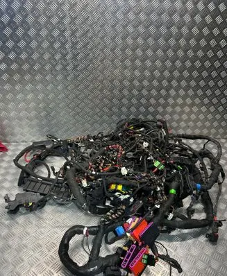 Audi A5 Other wiring loom 8W1971412