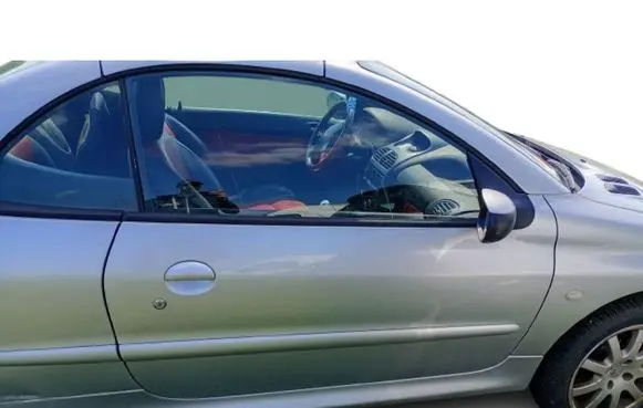Peugeot 206 CC Front door 