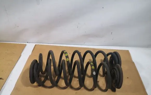 Volkswagen Golf Plus Rear coil spring