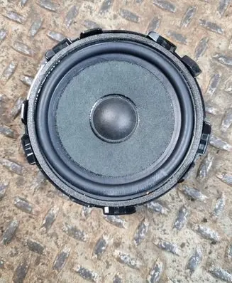 Panel speaker
