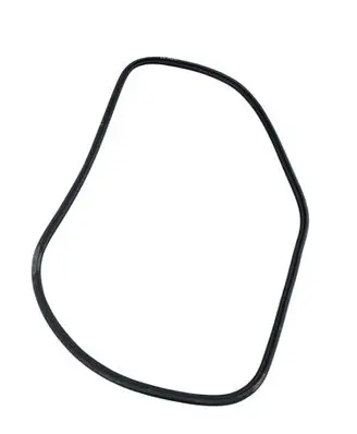 Audi A6 S6 C7 4G Front door rubber seal 