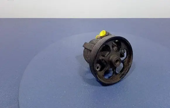 Opel Vivaro Power steering pump 26054891