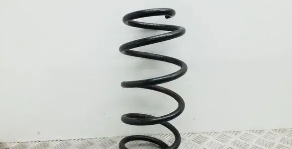 Front coil spring