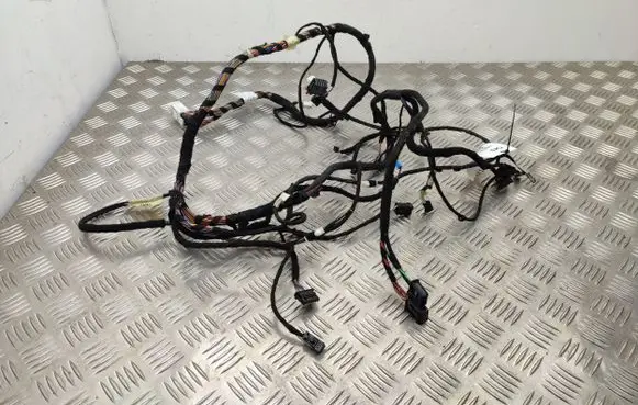 BMW X1 F48 F49 Other wiring loom 5A18164