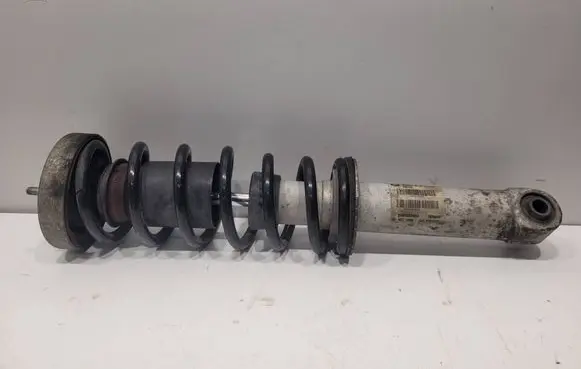 Rear shock absorber/damper