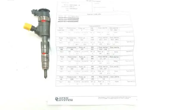 Peugeot Partner Fuel injector 0445110566