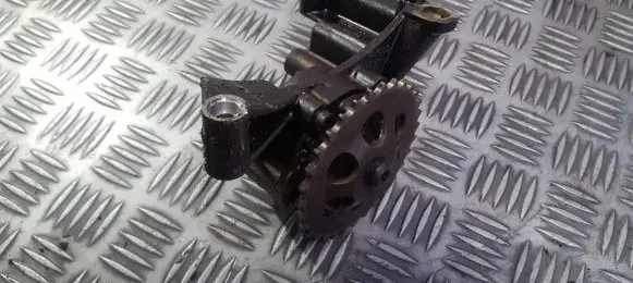 Volkswagen New Beetle Oil pump 06a115105