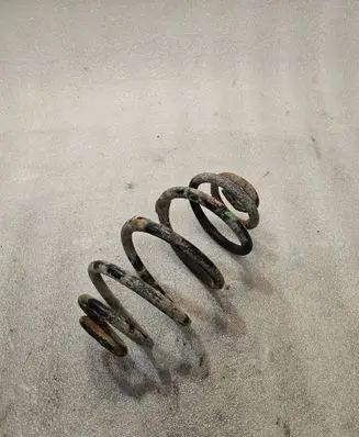 Volkswagen PASSAT B5.5 Rear coil spring