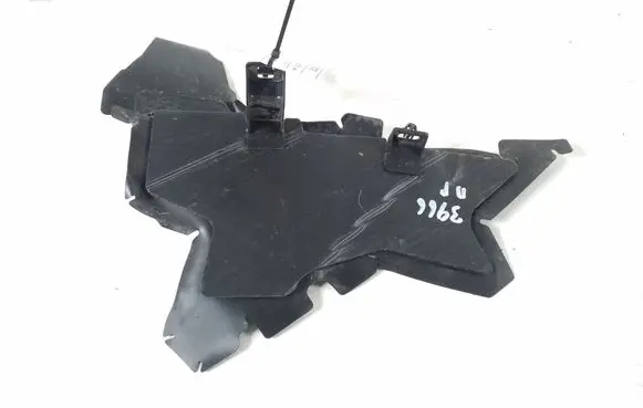 Engine bonnet/hood lock trim molding