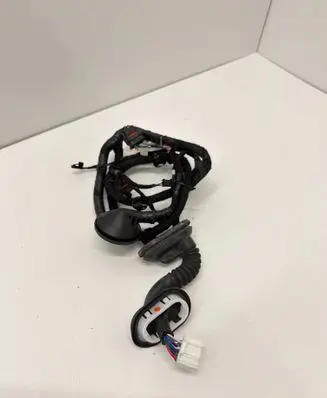 Tesla Model 3 Rear door wiring loom 206796600B 220345F0342