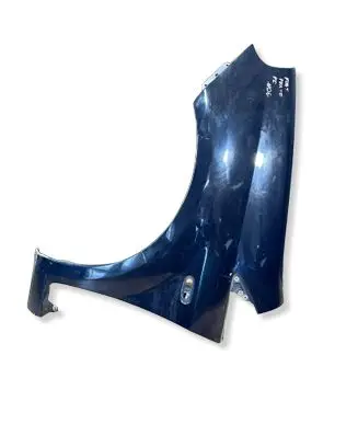 Fiat Punto (199) Fender 