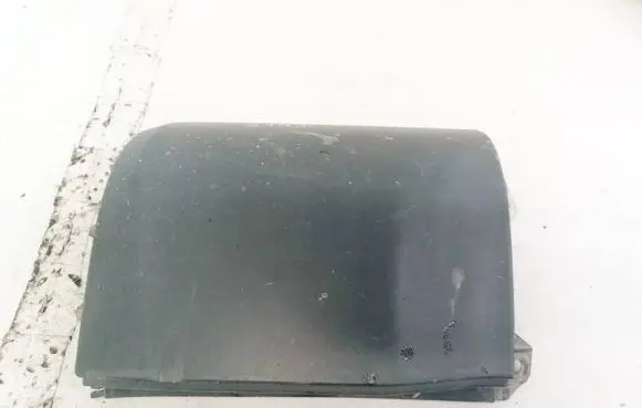 Rear/tail light trim molding