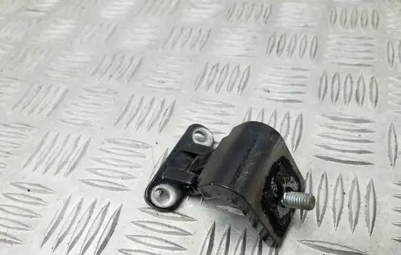 Tailgate/trunk/boot hinge