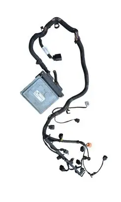 Seat Ibiza IV (6J,6P) Engine installation wiring loom 03F971612B 03F906070BL