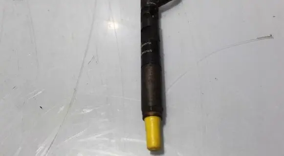 Renault Kangoo II Fuel injector 28237259